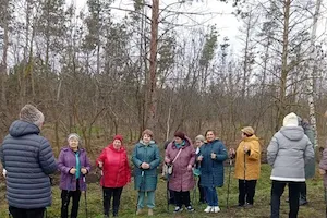 Изображение записи Целительные прогулки на свежем воздухе