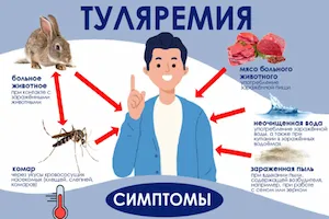 Изображение записи Осторожно Туляремия