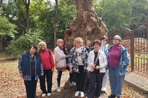 Изображение записи Осенних красок хоровод